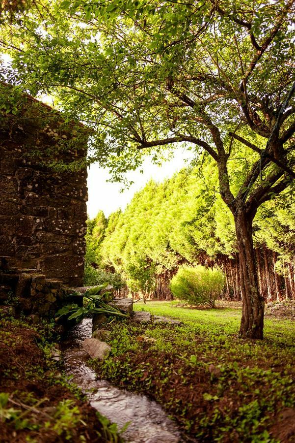 Bosque de Xarás, casa completa con encanto cerca de playa de Lapamán Marín Exterior foto