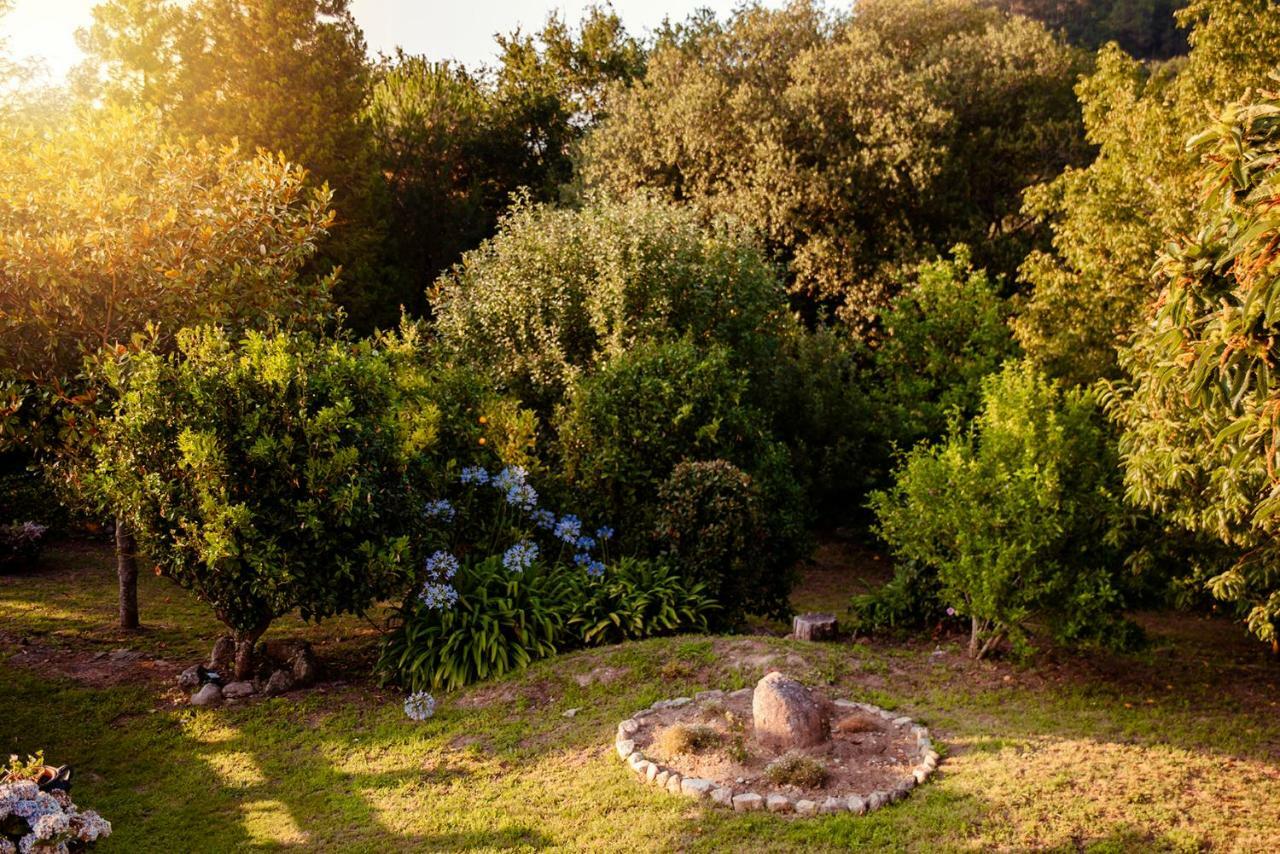 Bosque de Xarás, casa completa con encanto cerca de playa de Lapamán Marín Exterior foto